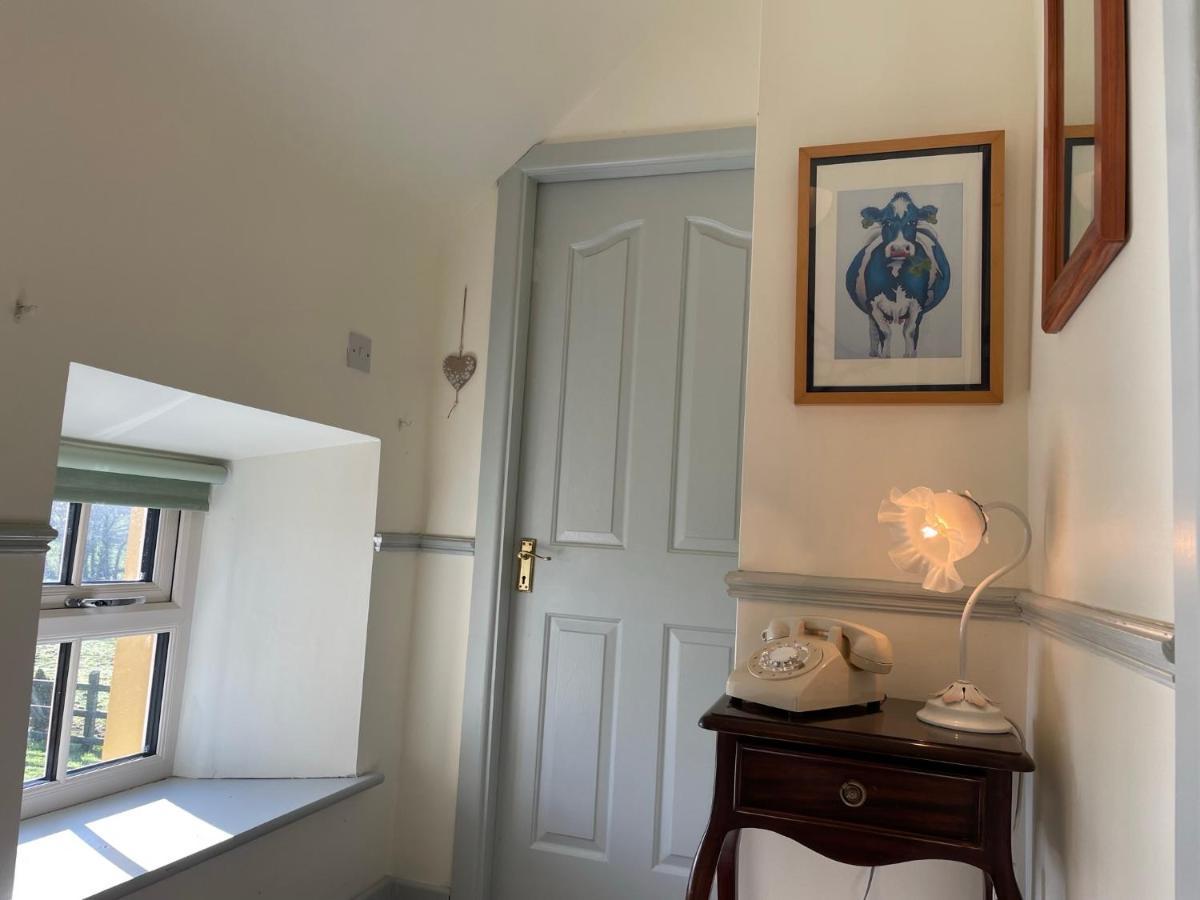 Mai'S Cottage Suite - Charming Holiday Rental Kilmallock Bagian luar foto